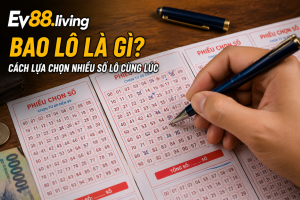 Bao lô là gì và cách lựa chọn nhiều số lô cùng lúc