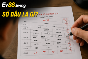 Số đầu là gì trong kết quả xổ số